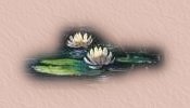 Lilypads
